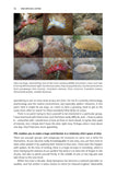 Pan-Species Listing - Pelagic Publishing