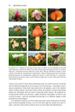 Pan-Species Listing - Pelagic Publishing