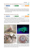 Pan-Species Listing - Pelagic Publishing