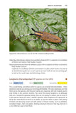 Pan-Species Listing - Pelagic Publishing