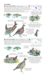 Field Guide to the Birds of North America