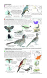 Field Guide to the Birds of North America