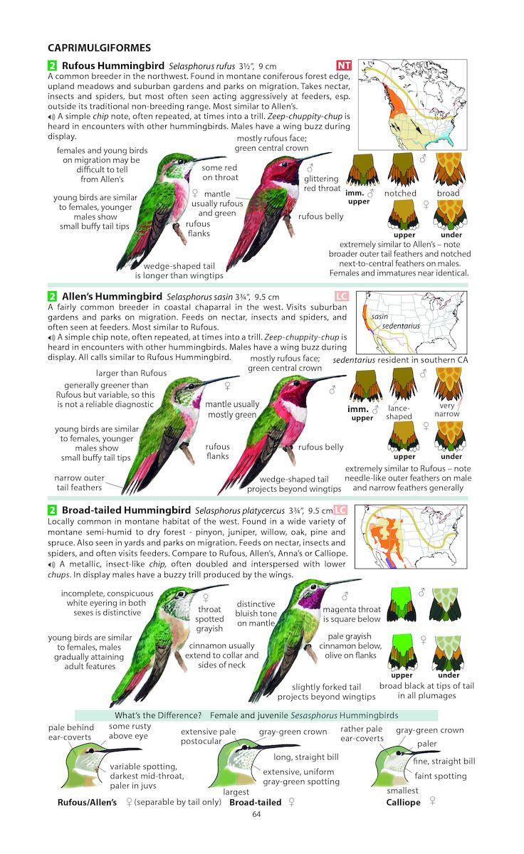 Hummingbird Field Guide Field Guide to the Birds of North America - McMullan - Pelagic ...
