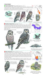 Field Guide to the Birds of North America