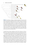 Crossbills and Conifers