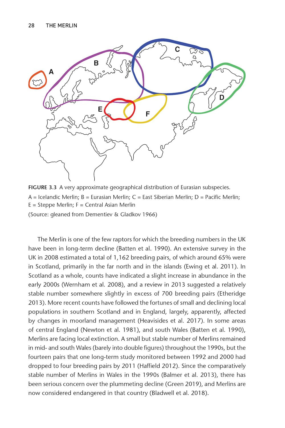 Merlin Distribution The Merlin - Rennie - Pelagic Publishing - 9781784275556