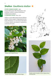 Identification Guide to the Non-Native Invasive Plants of Britain and Ireland