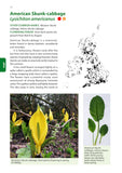 Identification Guide to the Non-Native Invasive Plants of Britain and Ireland