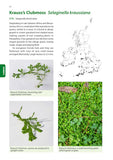 Identification Guide to the Non-Native Invasive Plants of Britain and Ireland