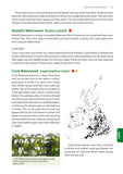 Identification Guide to the Non-Native Invasive Plants of Britain and Ireland