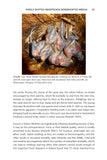 The Pied Woodpeckers