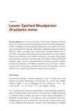 The Pied Woodpeckers
