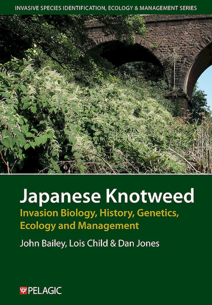 Japanese Knotweed