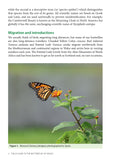 Field Guide to the Butterflies of Wales