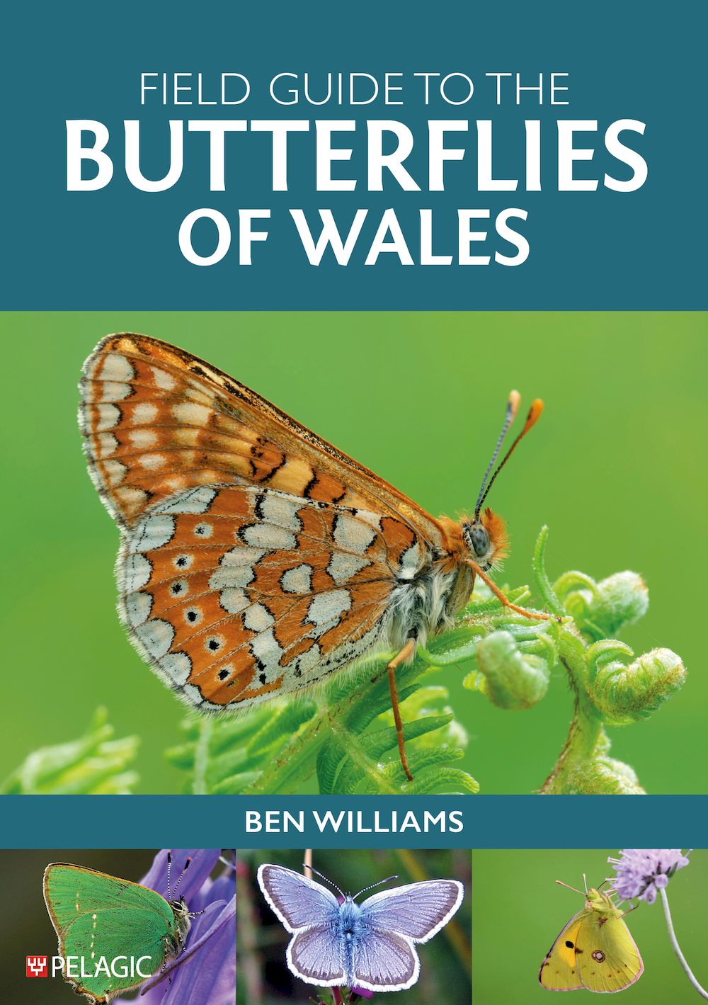 Field Guide to the Butterflies of Wales - Pelagic Publishing