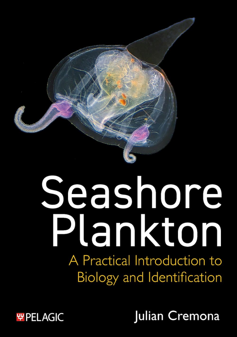 Seashore Plankton