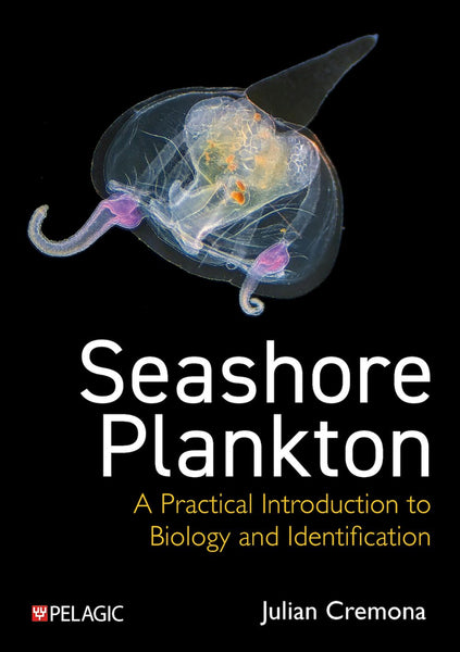 Seashore Plankton