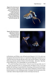 Insect Flight - Pelagic Publishing