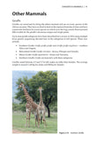 Dangerous Animals & Outdoor Hazards in Africa - Pelagic Publishing