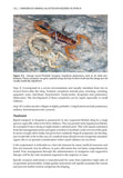 Dangerous Animals & Outdoor Hazards in Africa - Pelagic Publishing