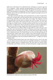 Rewilding Glen Affric - Pelagic Publishing