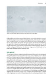Rewilding Glen Affric - Pelagic Publishing
