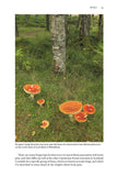 Rewilding Glen Affric - Pelagic Publishing