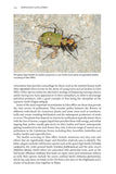 Rewilding Glen Affric - Pelagic Publishing