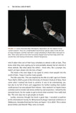 The Social Lives of Bats - Pelagic Publishing