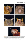 The Social Lives of Bats - Pelagic Publishing