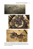 The Social Lives of Bats - Pelagic Publishing