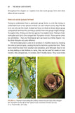 The Social Lives of Bats - Pelagic Publishing