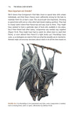 The Social Lives of Bats - Pelagic Publishing
