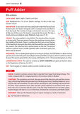 Field Guide to the Snakes of Malawi