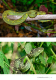 Field Guide to the Snakes of Malawi