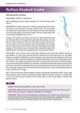 Field Guide to the Snakes of Malawi