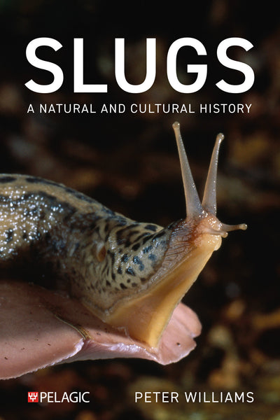 Slugs