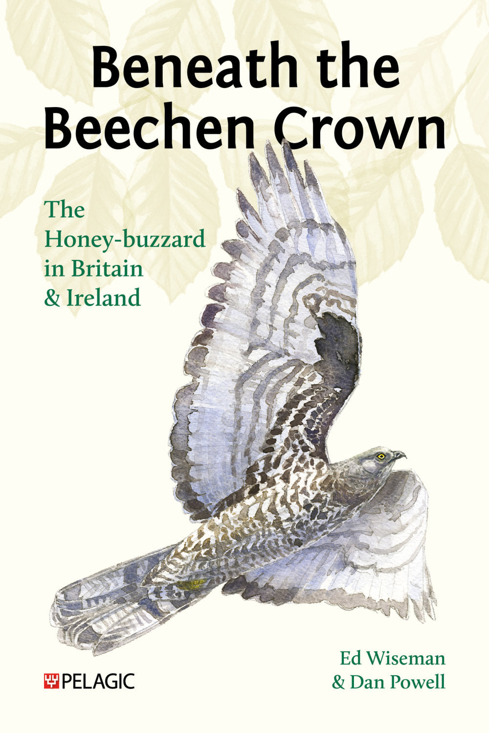 Beneath the Beechen Crown