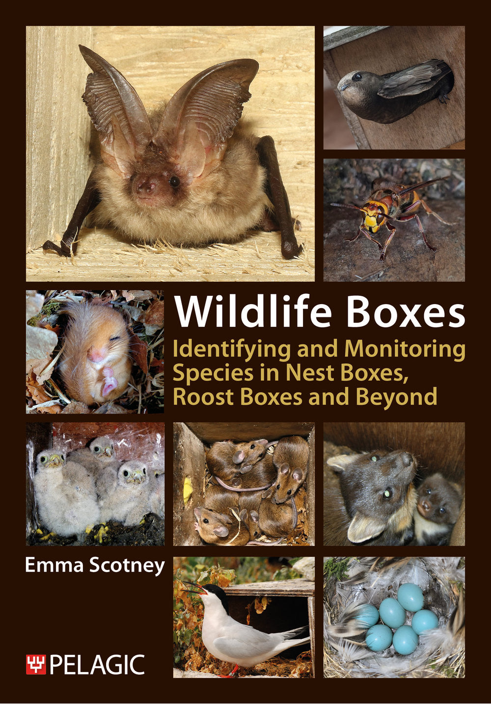 Wildlife Boxes - Pelagic Publishing