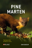 Pine Marten - Pelagic Publishing