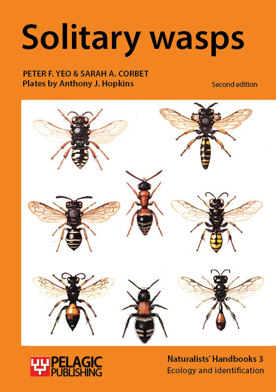 Solitary wasps - Pelagic Publishing