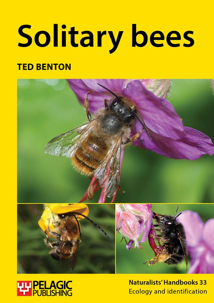 Solitary bees - Pelagic Publishing