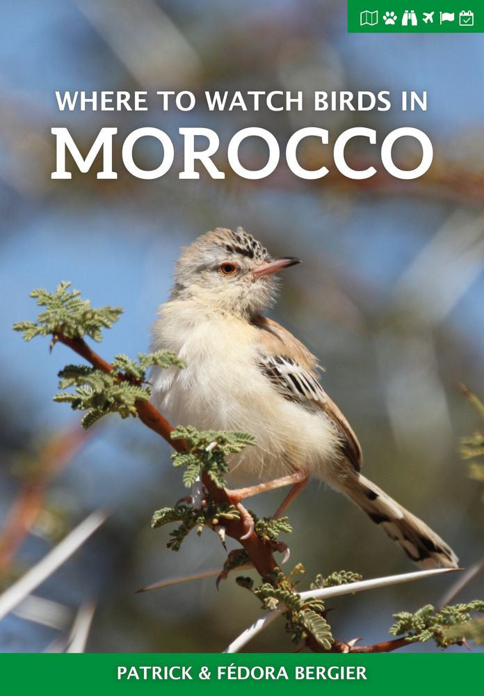 Where to Watch Birds in Morocco - Pelagic Publishing
