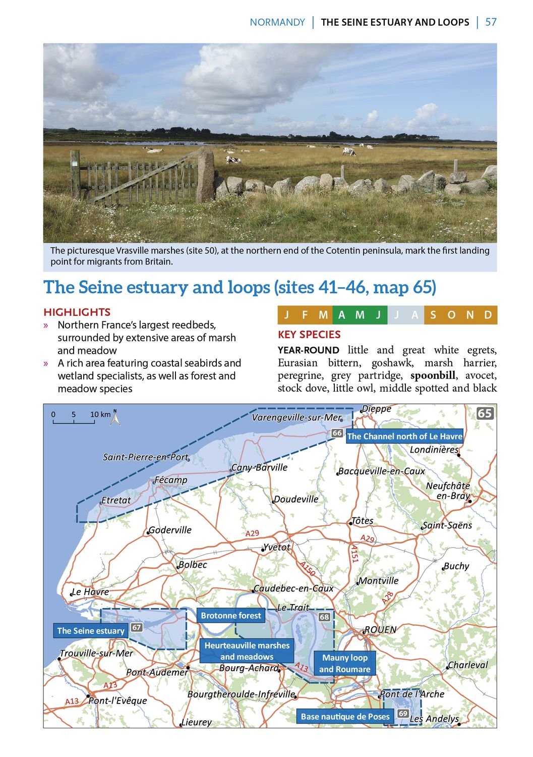 Nidal Issa Where to Watch Birds in France – Barnagaud, Issa, Dalloyau ...