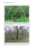 Woodland Survey Handbook - Pelagic Publishing