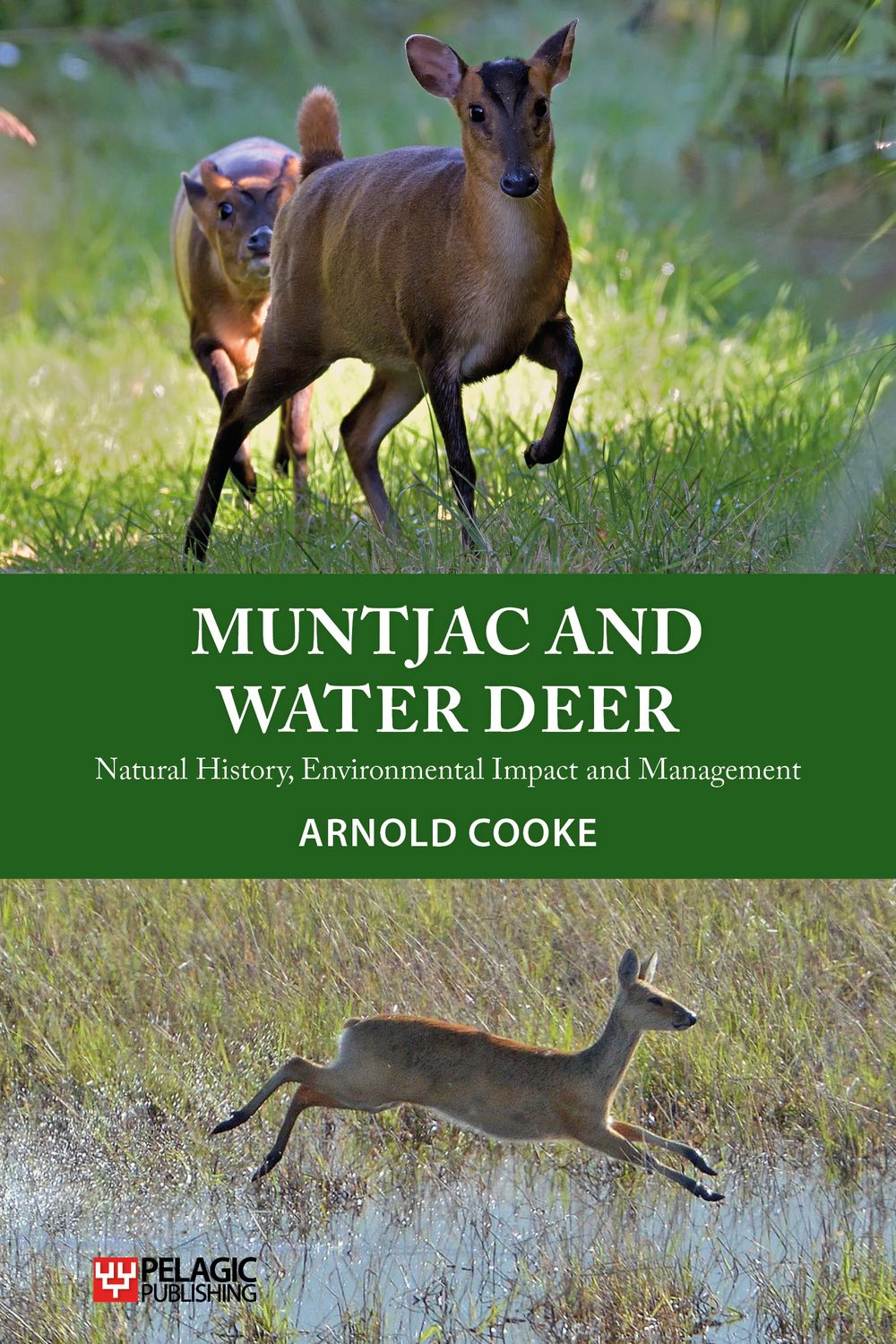 Muntjac and Water Deer - Pelagic Publishing