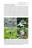 Pollinators and Pollination - Pelagic Publishing