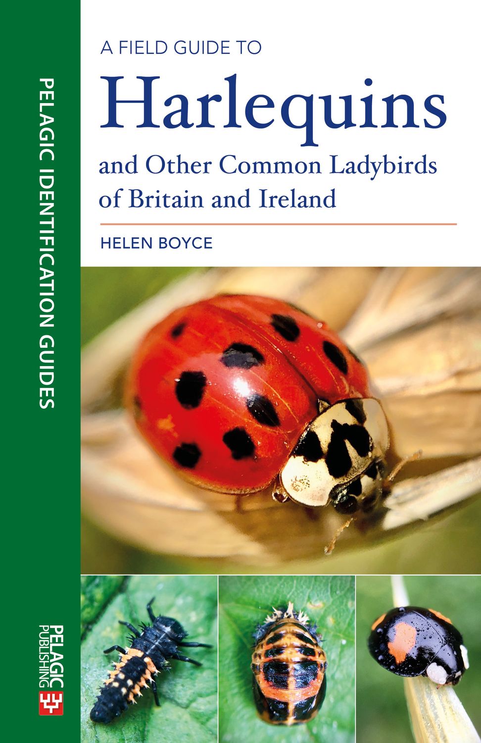 A Field Guide to Harlequins and Other Common Ladybirds of Britain and Ireland - Pelagic Publishing