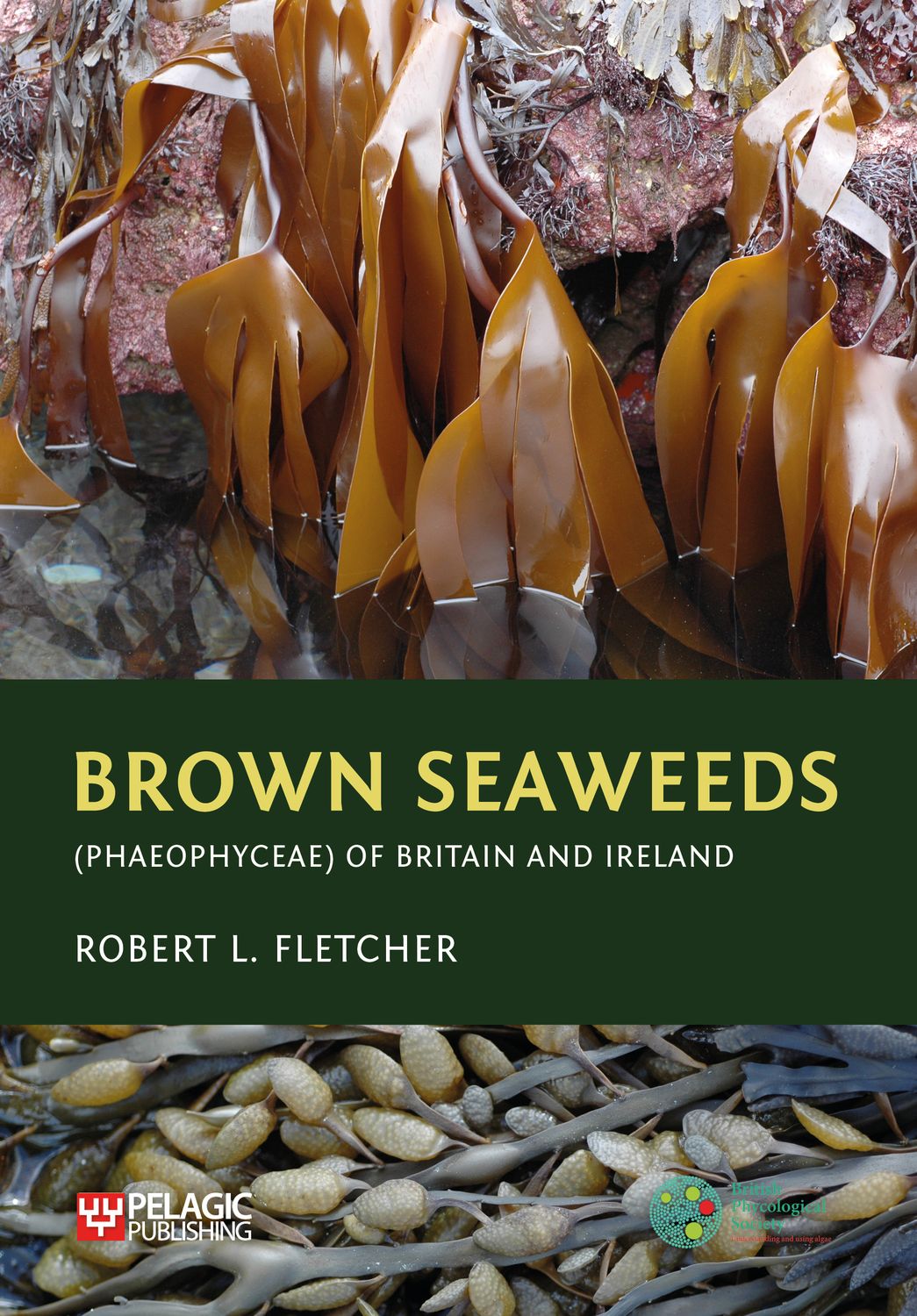 Brown Seaweeds (Phaeophyceae) of Britain and Ireland - Pelagic Publishing