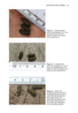 Water Vole Field Signs and Habitat Assessment - Pelagic Publishing